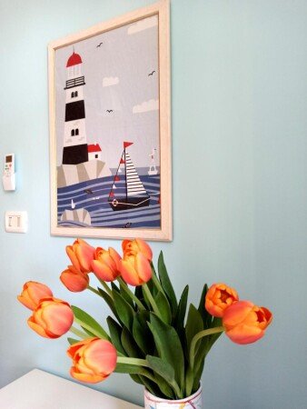 Bed and breakfast 1 camera, con giardino