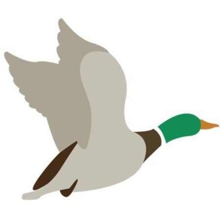 Bed and breakfast 3 ospiti, con giardino