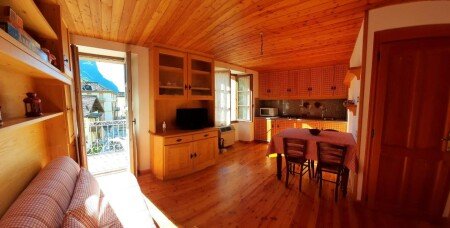 Appartamento 1 camera, con giardino