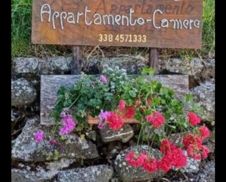 Appartamento 1 camera, con giardino