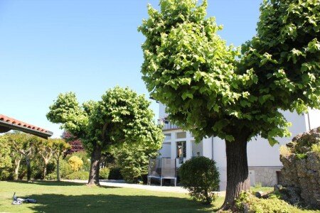 Bed and breakfast 11 ospiti, con giardino