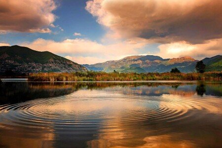 Bed and breakfast 3 ospiti, con giardino