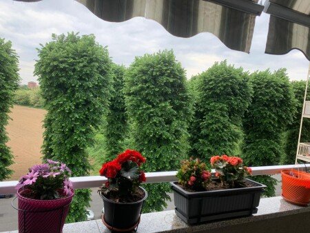 Bed and breakfast 2 ospiti, con wifi