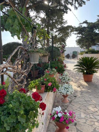Appartamento 2 camere, con giardino