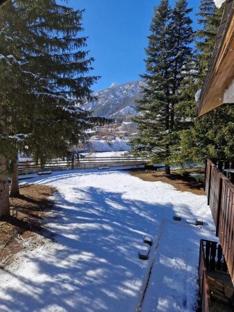 Appartement 1 chambre, avec jardin