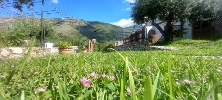 Bed and breakfast 1 camera, con giardino