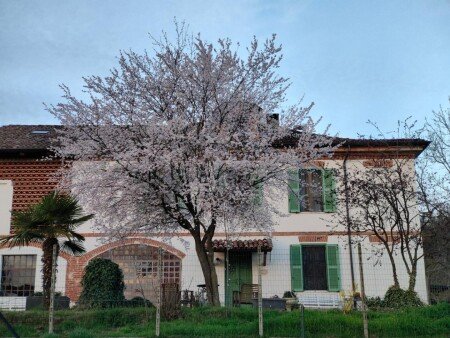 Bed and breakfast 2 ospiti, con piscina