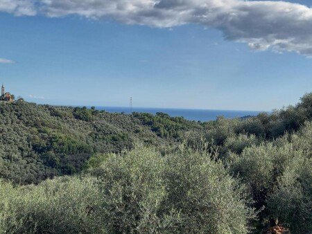 Appartamento 6 ospiti, con giardino