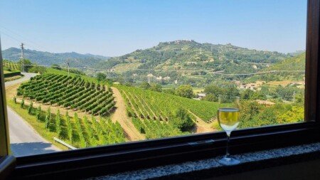 Appartamento 1 camera, con giardino