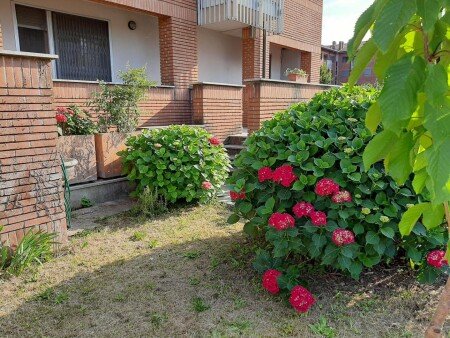 Appartamento 2 camere, con giardino
