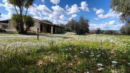 Bed and breakfast 3 ospiti, con piscina