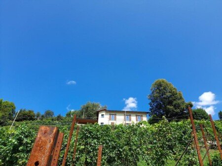 Bed and breakfast 4 ospiti, con giardino