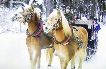 Bed and breakfast 1 camera, con giardino