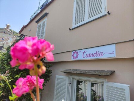 Bed and breakfast 1 camera, con giardino