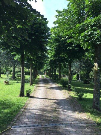 Casa 2 camere, con giardino