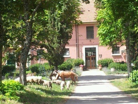 Bed and breakfast 6 ospiti, con piscina