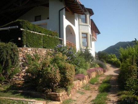 Bed and breakfast 3 ospiti, con giardino