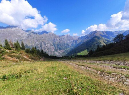 Appartamento 1 camera, con giardino