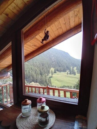 Appartamento 1 camera, con giardino