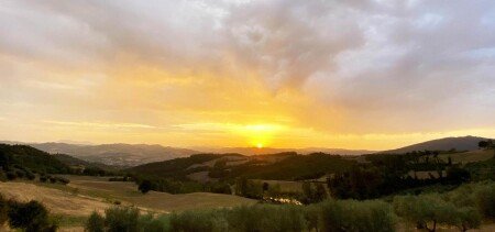 Appartamento 1 camera, con giardino