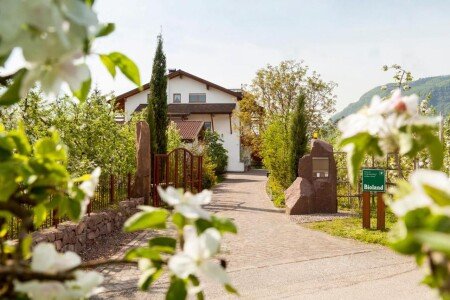 Bed and breakfast 3 ospiti, con giardino