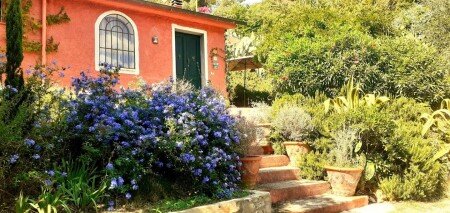 Casa 2 camere, con giardino