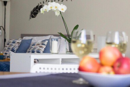 Appartamento 1 camera, con aria condizionata