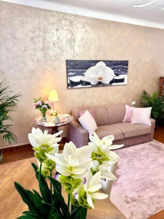 Apartment 2 bedrooms, with air conditioning