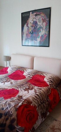 Appartamento 1 camera, con wifi