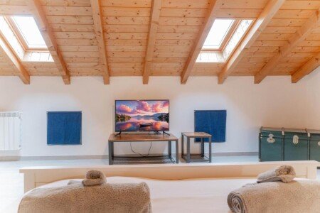 Appartamento 1 camera, con giardino