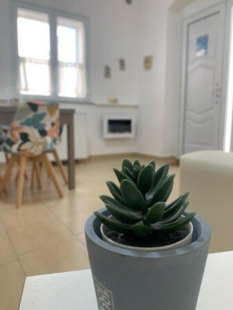 Appartamento 1 camera, con aria condizionata