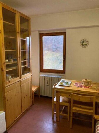 Appartamento 1 camera, con giardino