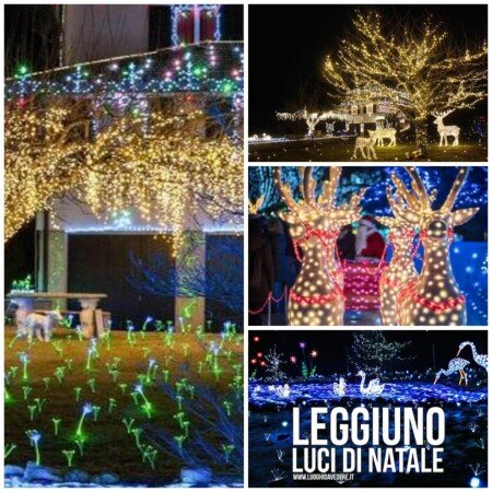 Appartamento 2 camere, con giardino