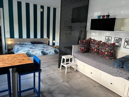 Appartamento 1 camera, con giardino