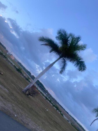 Bed and breakfast 1 bedroom, with pool