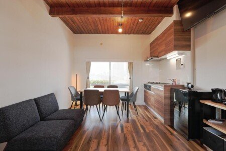 Apartment 1 bedroom, with air conditioning