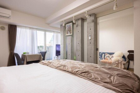 Appartement 1 chambre, avec climatisation