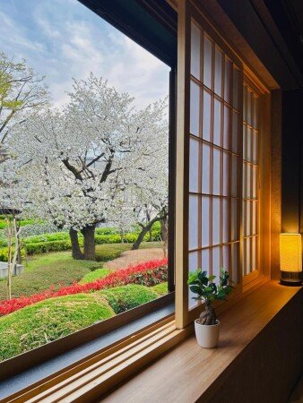 Villa 12 guests, with garden