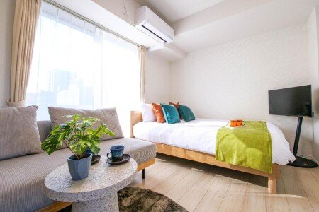 Apartment 1 bedroom, with jacuzzi