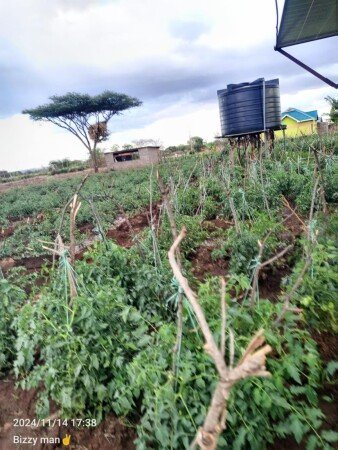 Bed and breakfast 1 camera, con parcheggio