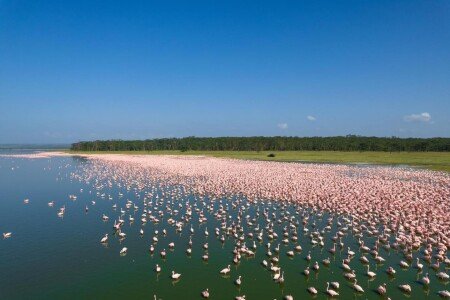 Unique house 2 guests, with pool