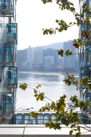 Apartment 1 bedroom, with jacuzzi