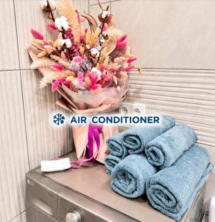 Apartment 1 bedroom, with air conditioning