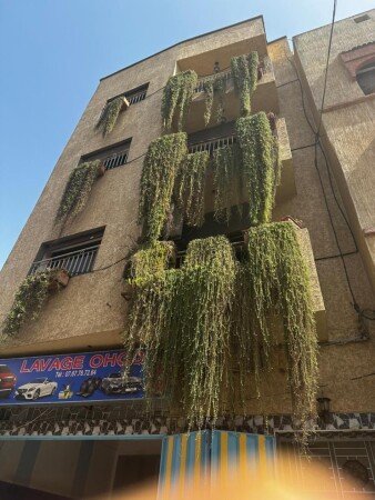 Appartement 1 chambre, avec climatisation