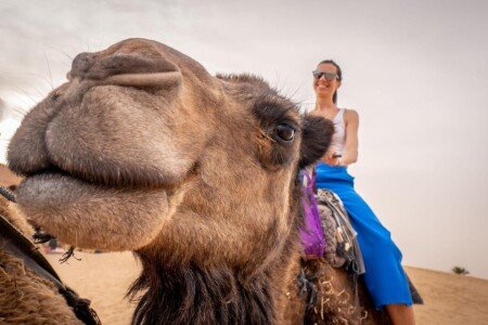 Camping / Mobil Home 6 voyageurs