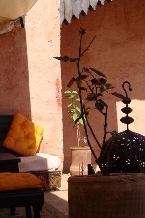 Riad 5 gasten, met tuin
