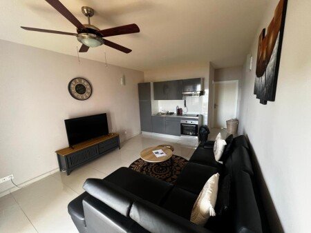 Appartement 1 chambre, avec climatisation