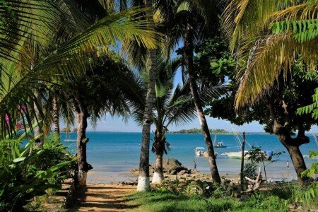 Villa 4 chambres, avec jardin