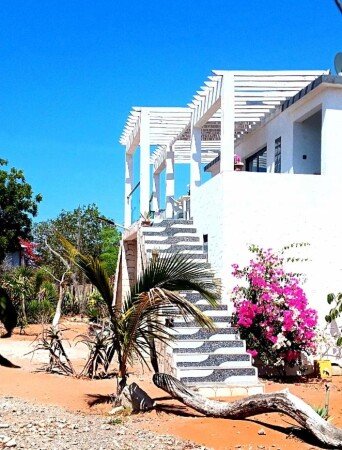Studio 1 chambre, avec jardin