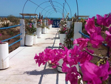 Appartement 1 chambre, avec jardin